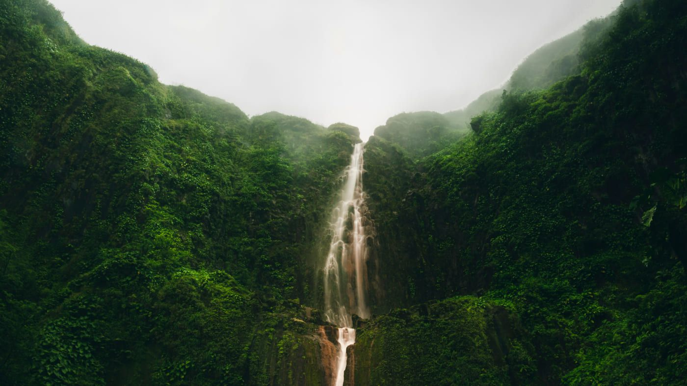 Randonnée en Guadeloupe