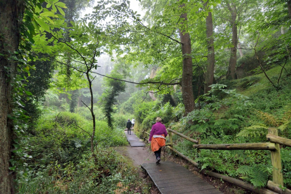 La forêt de vallée des Traouïero en balade