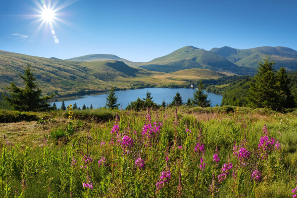 Randonnée banne d'Ordanche : lac de Guéry entouré des volcans d'Auvergne et des arbres et fleurs