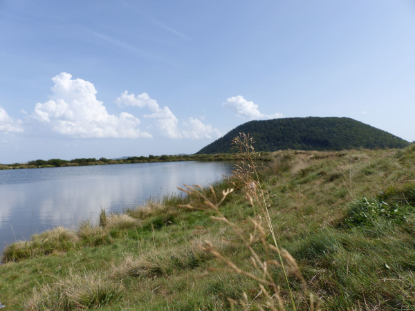 Randonnée lac de Montcineyre : partie du lac avec herbes hautes autour et puy en fond