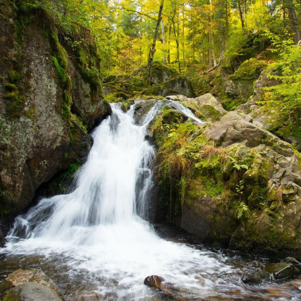 La petite cascade de Tendon dans les Vosges