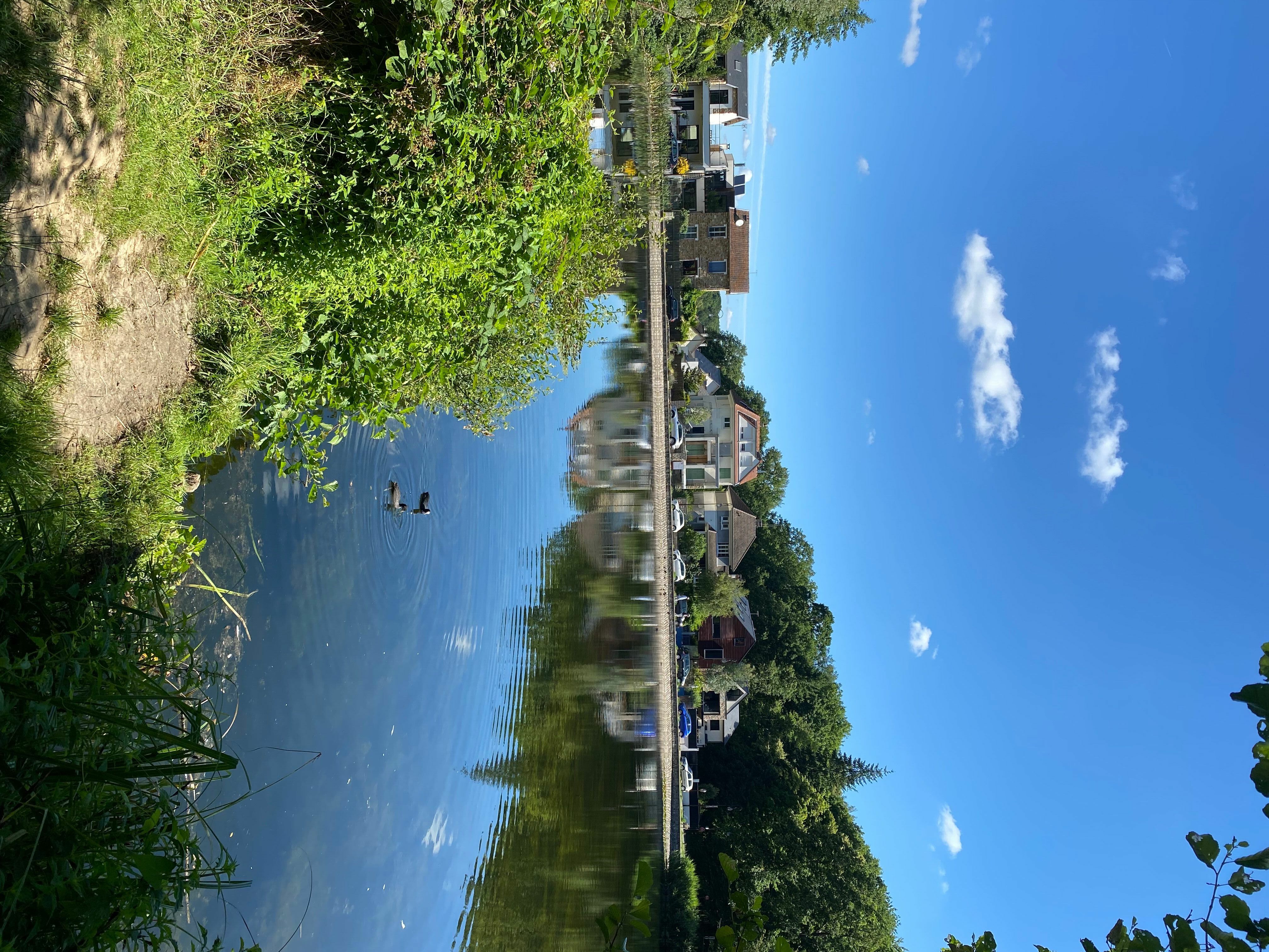 L'etang des écrevisses a l'etang du trou aux gants