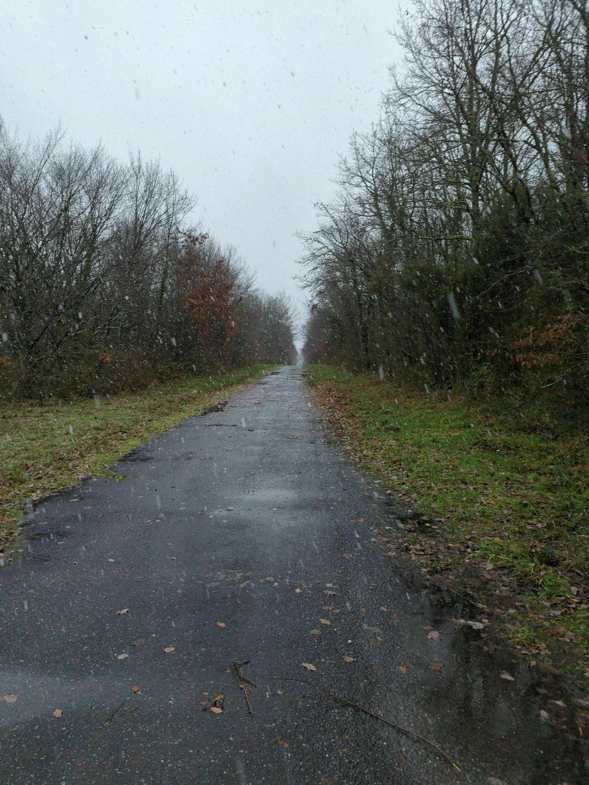 Boucle en forêt de Braconne Bois Blanc