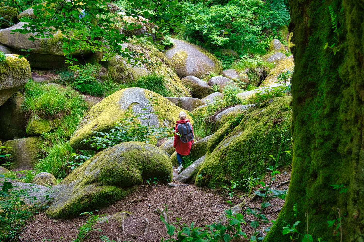 Une personne en randonnée dans la forêt de Huelgoat et son chaos rocheux