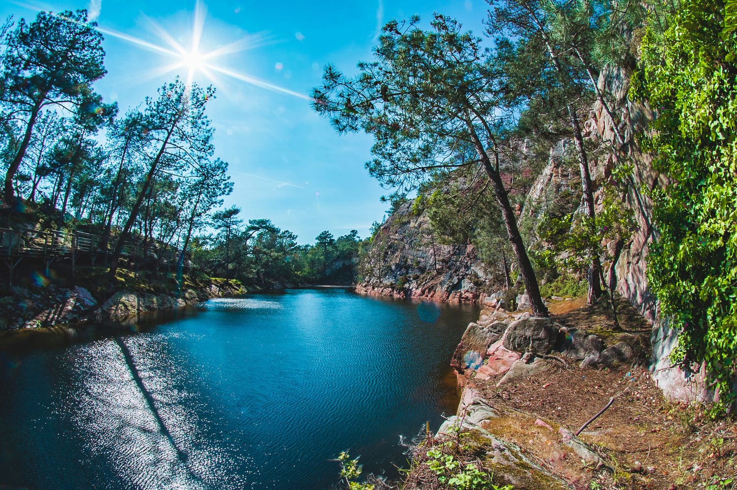 Randonnée cap d'Erquy : vue sur les lacs bleus d'Erquy entre les pins