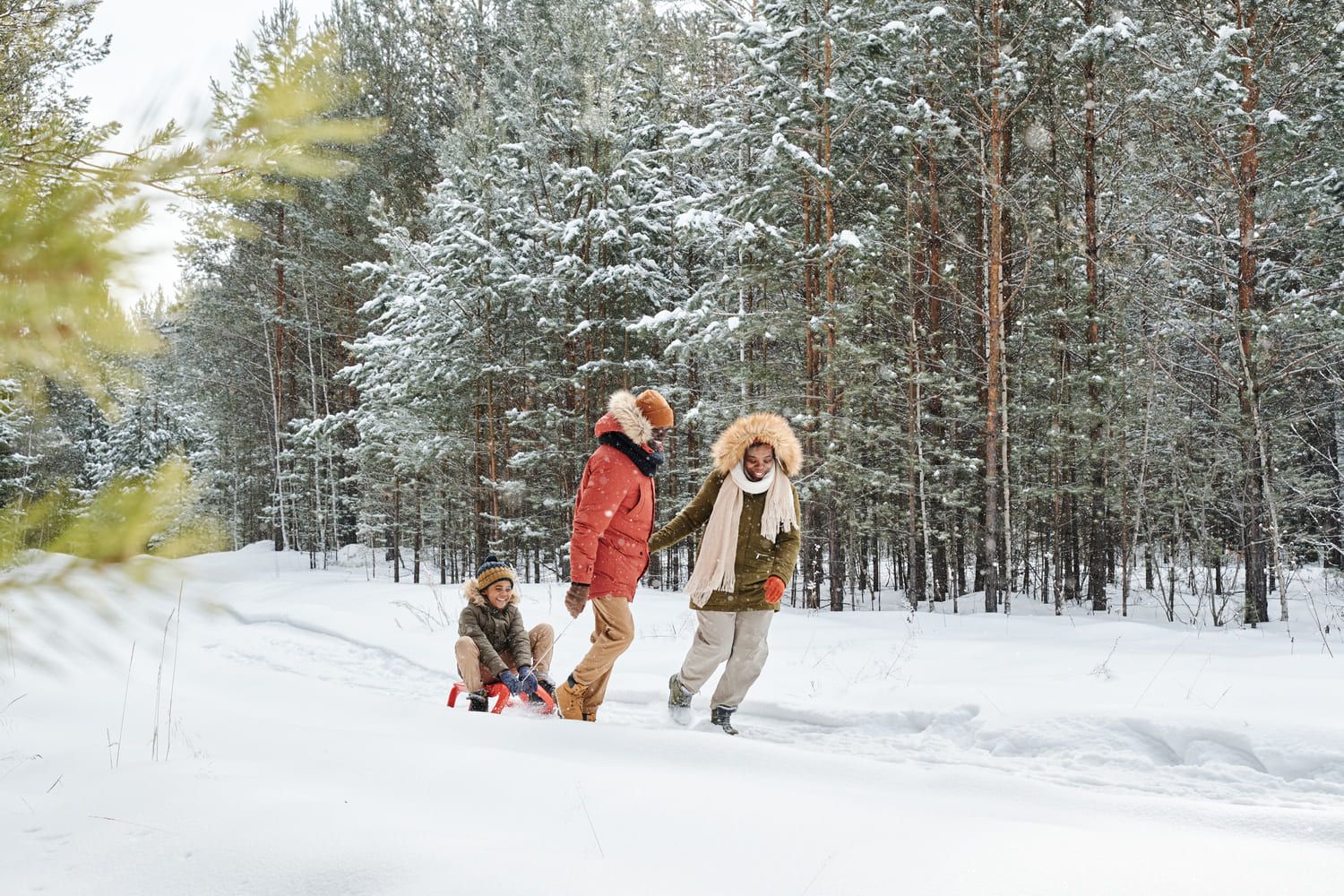 Famille qui fait de la luge en montagne dans une forêt enneigée