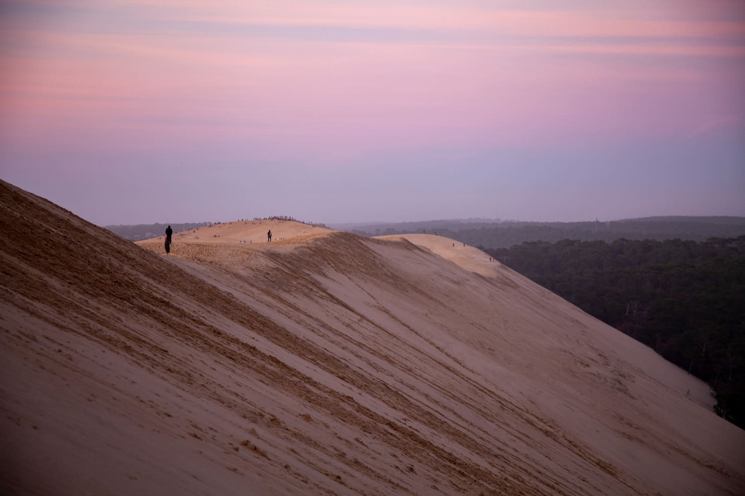 La dune du Pilat au soleil couchant