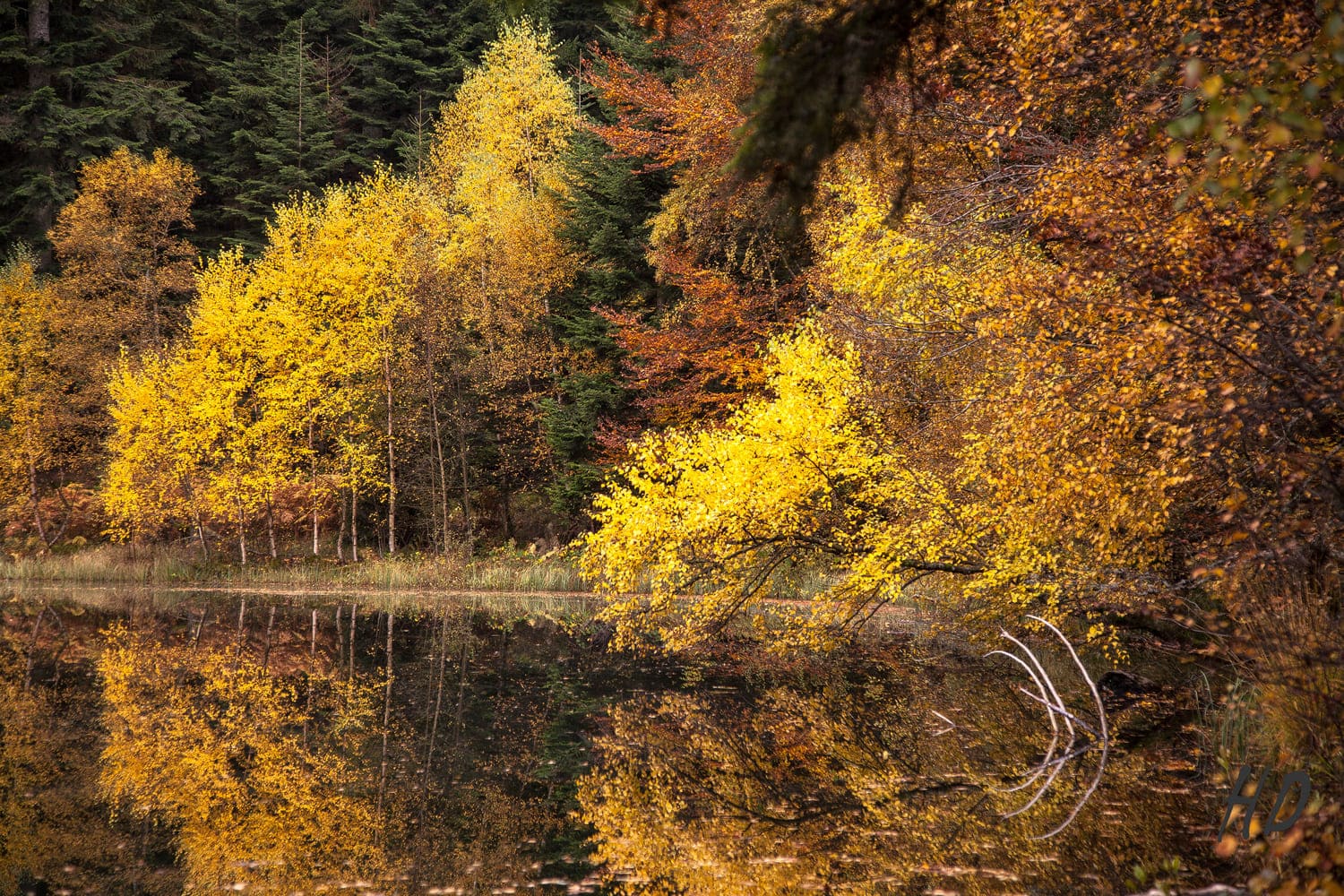 Les reflets d'automne du lac de la Maix 