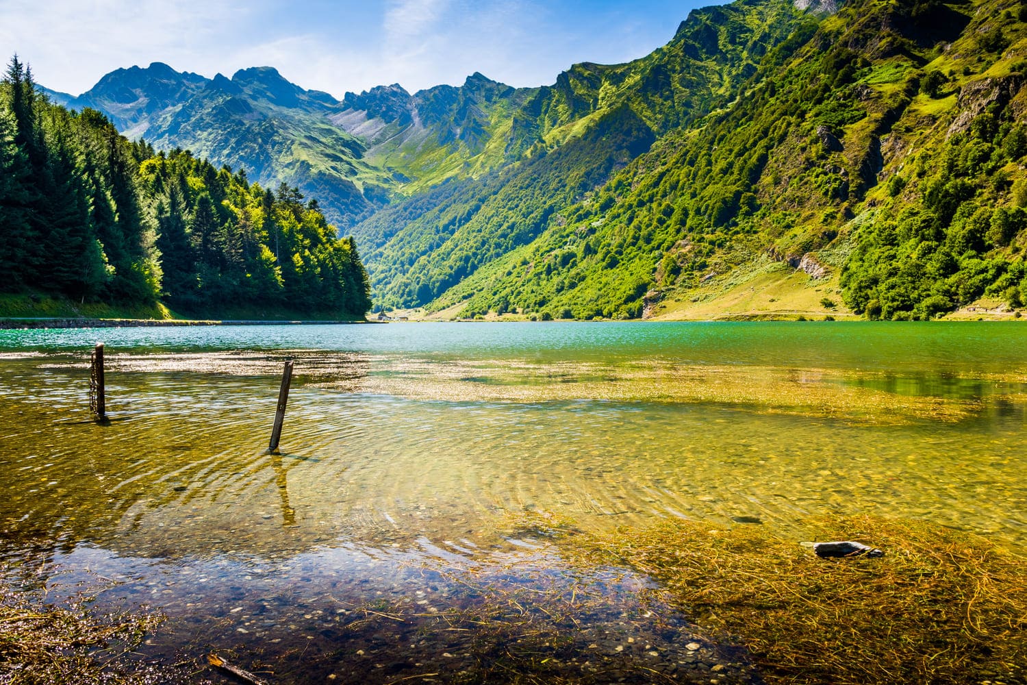 Randonnée lac d'Estaing : eau claire au pied des montagnes verdoyantes