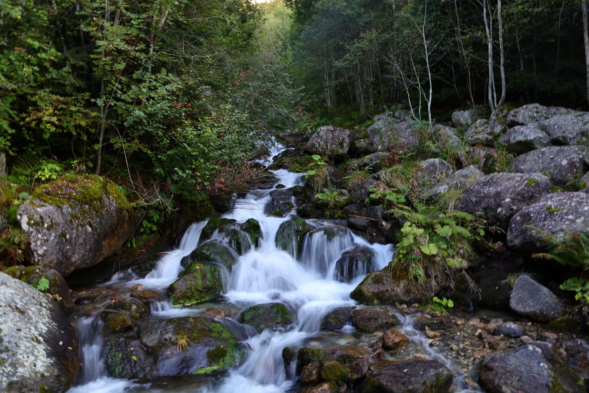 Randonnée cascade du Dard : eau ruisselant sur les blocs de pierre