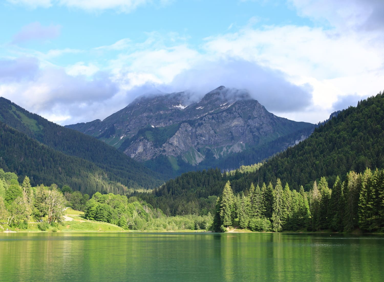 Le lac de Montriond entouré de sapins