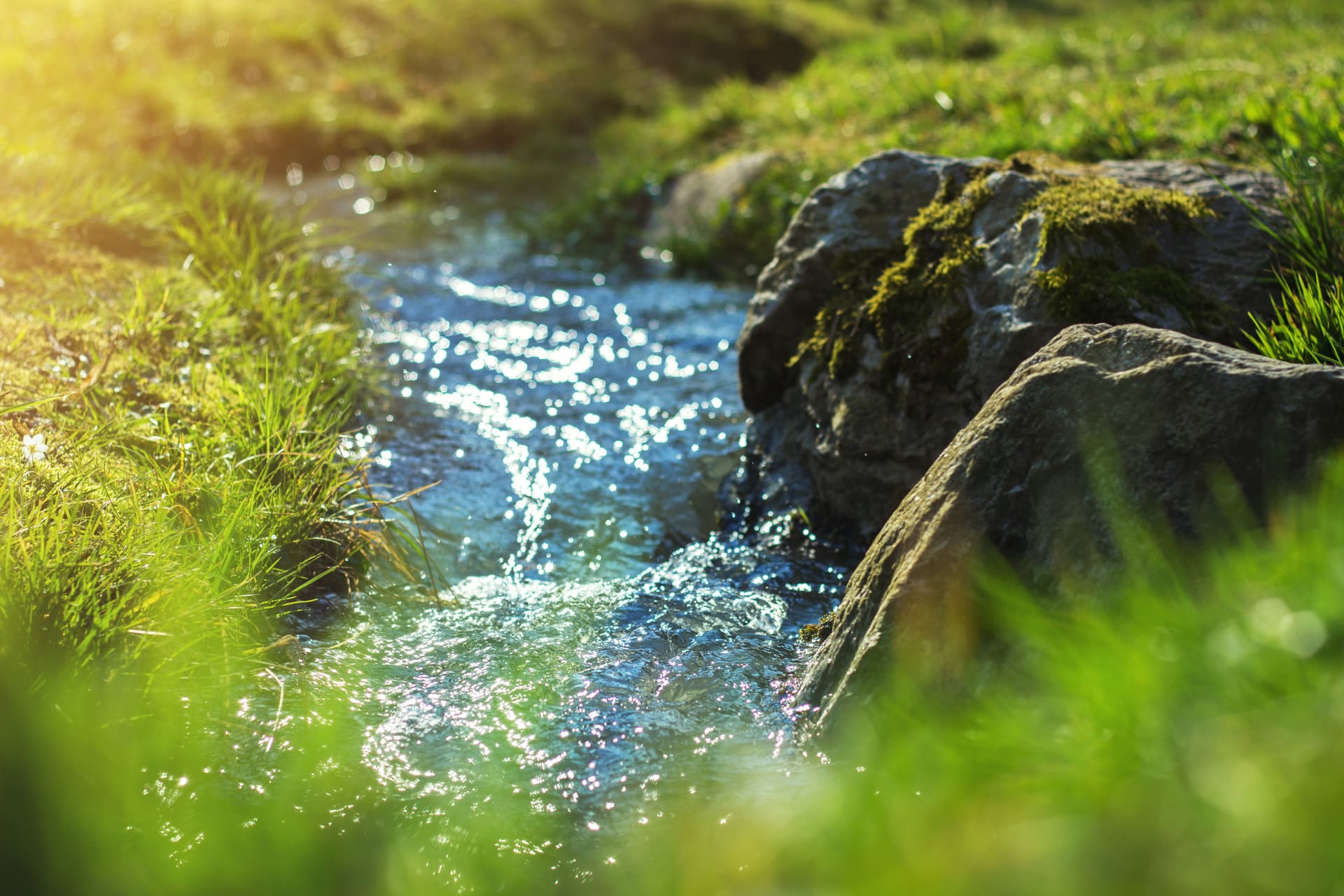 Randonnée lac du Montagnon : eau qui ruisselle et herbe verte