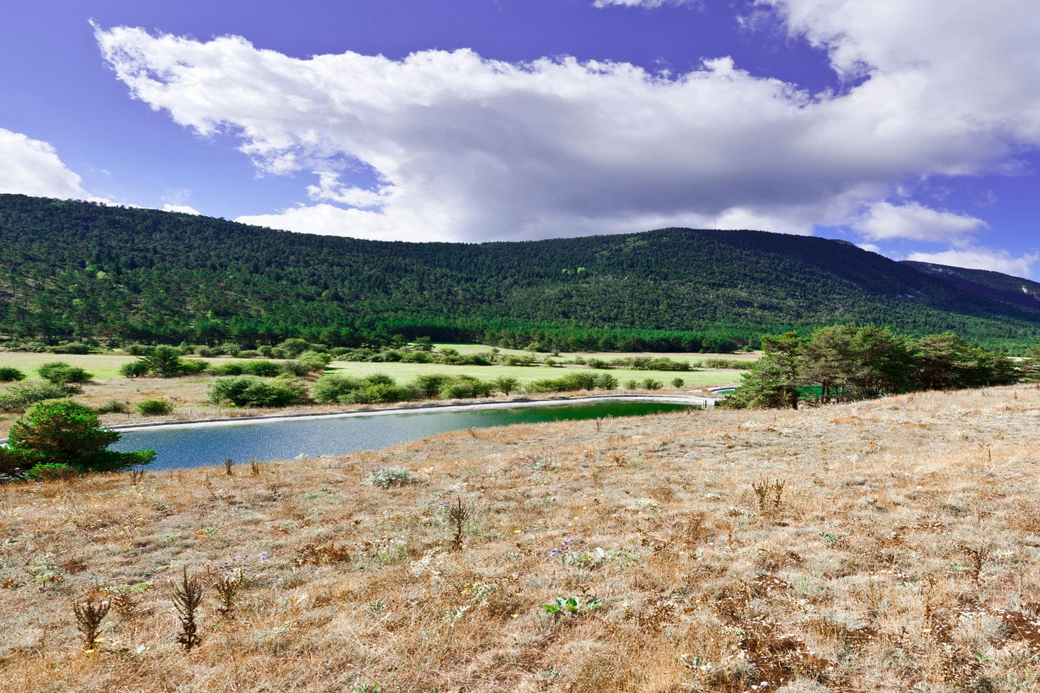 Randonnée lac des Sagnes : étendue d'eau entourée de collines verdoyantes