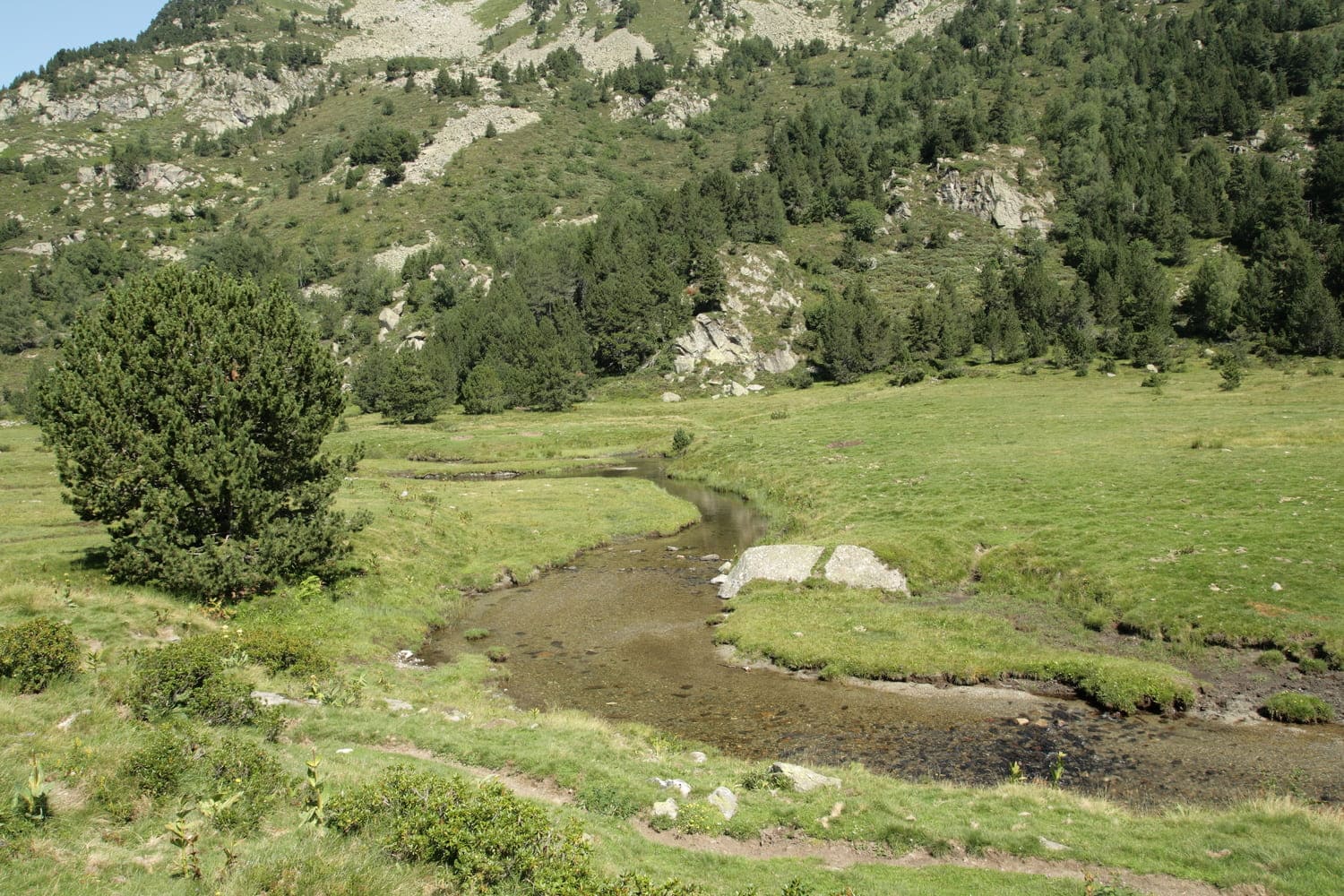 Randonnée étangs de Rabassoles : ruisseau serpentant au pied des montagnes