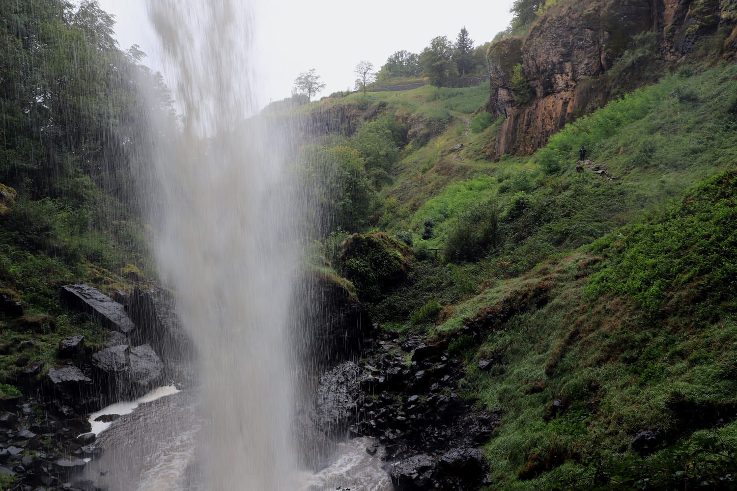 Randonnée cascade de Salins : eau coulant devant et herbe autour