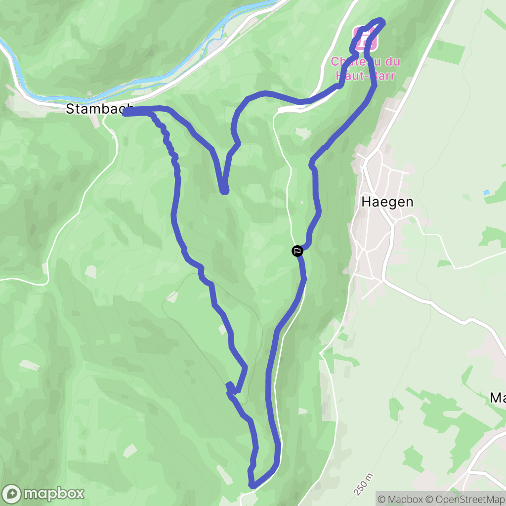 Haegen: routekaart voor buitenactiviteiten - France