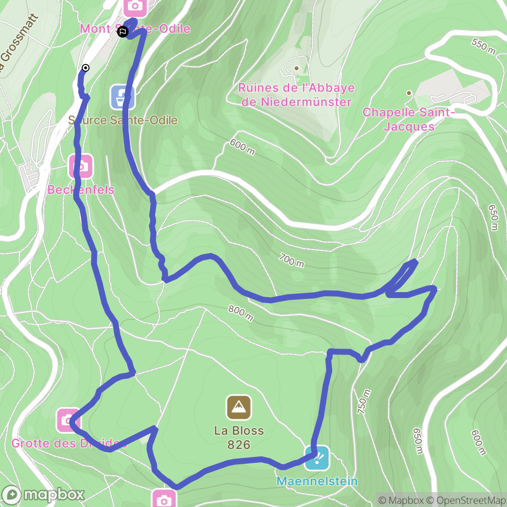 Ottrott : carte du parcours de randonnée - France