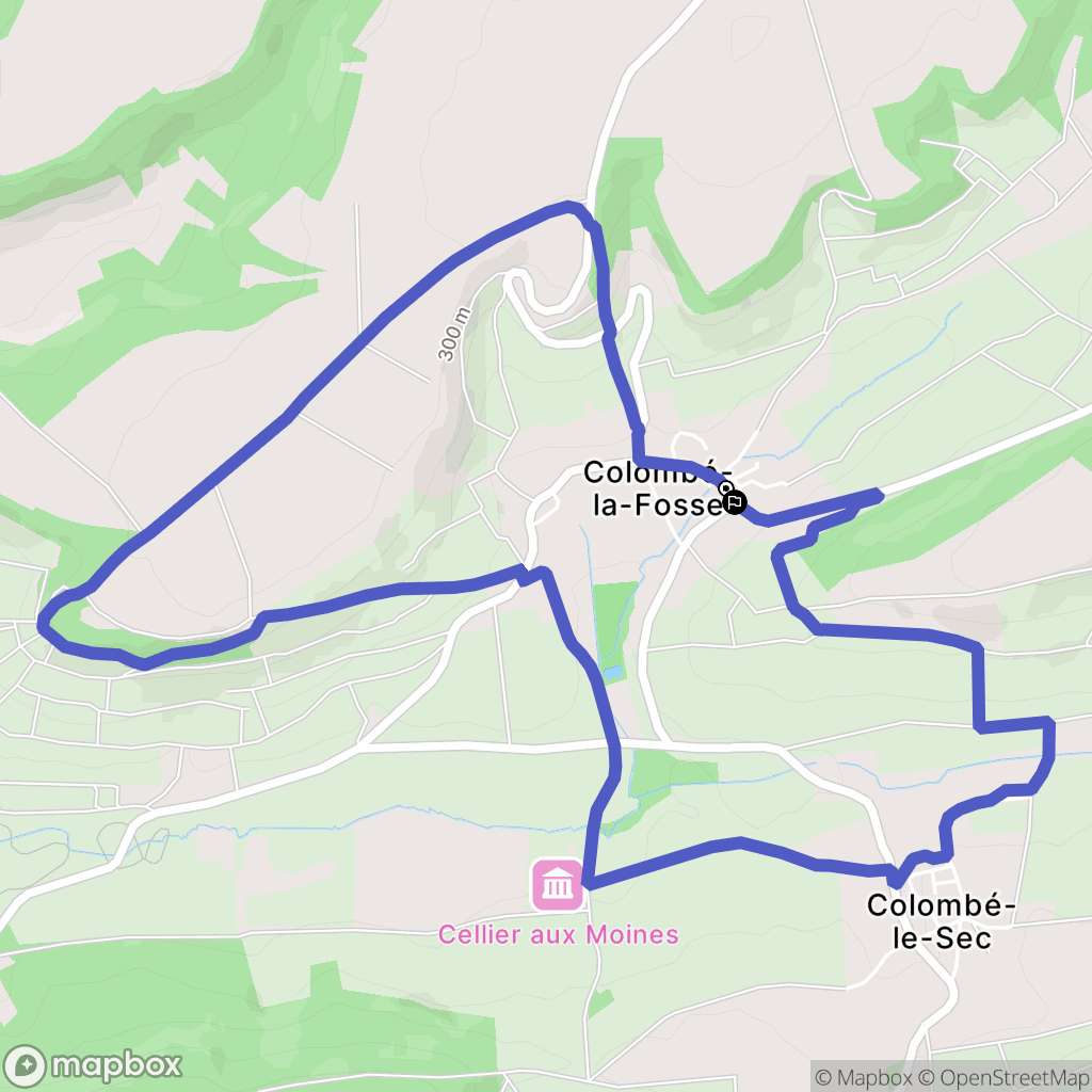 Colombé-la-Fosse: routekaart voor buitenactiviteiten - France