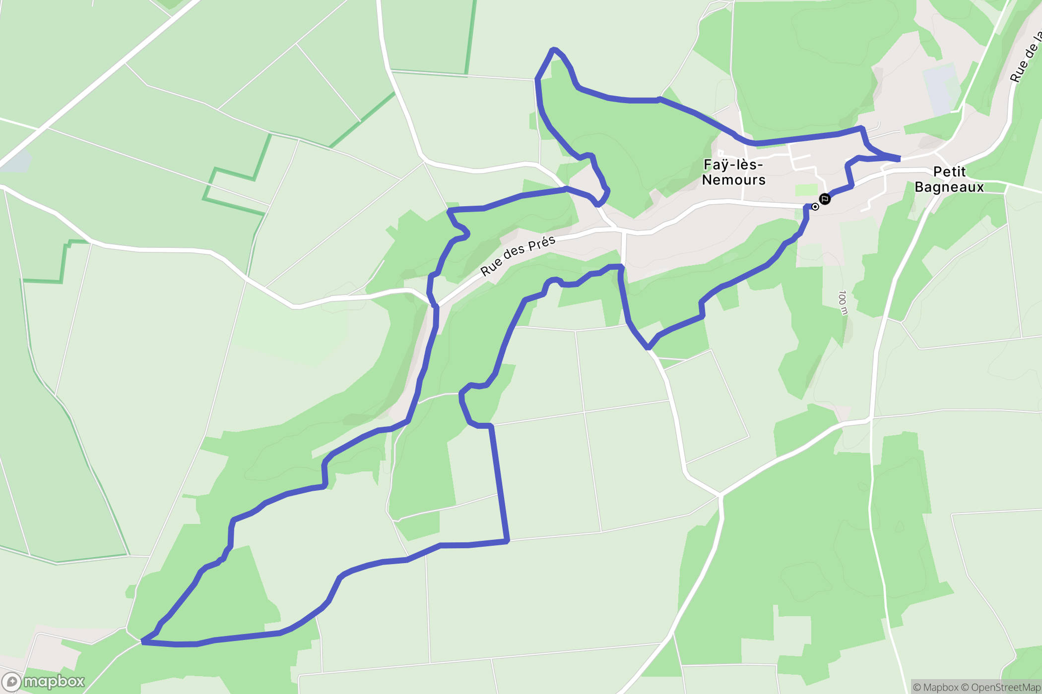 Faÿ-lès-Nemours : carte du parcours de randonnée - France