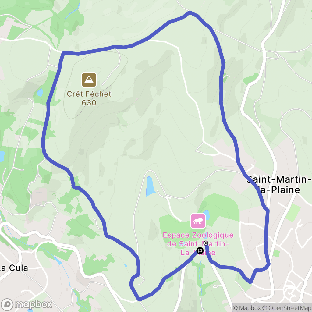 Saint-Martin-la-Plaine : carte du parcours de randonnée - France