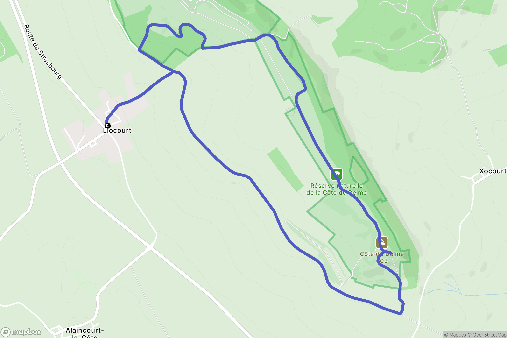 Liocourt : carte du parcours de randonnée - France