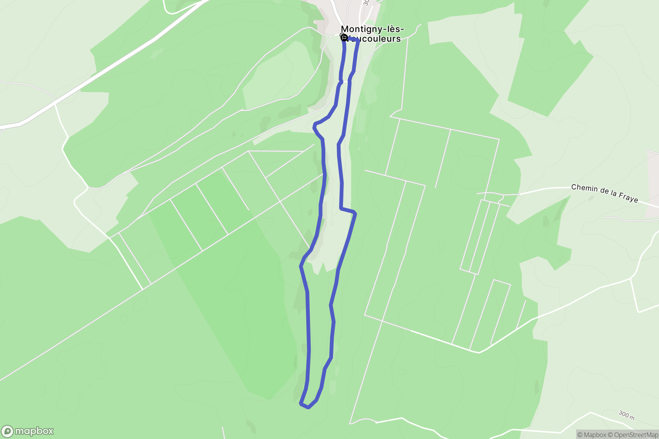 Montigny-lès-Vaucouleurs : carte du parcours de randonnée - France