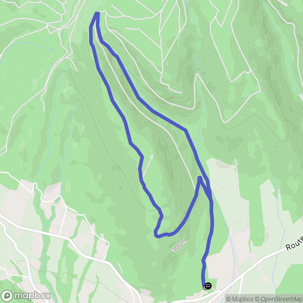 La Laupie : carte du parcours de randonnée - France