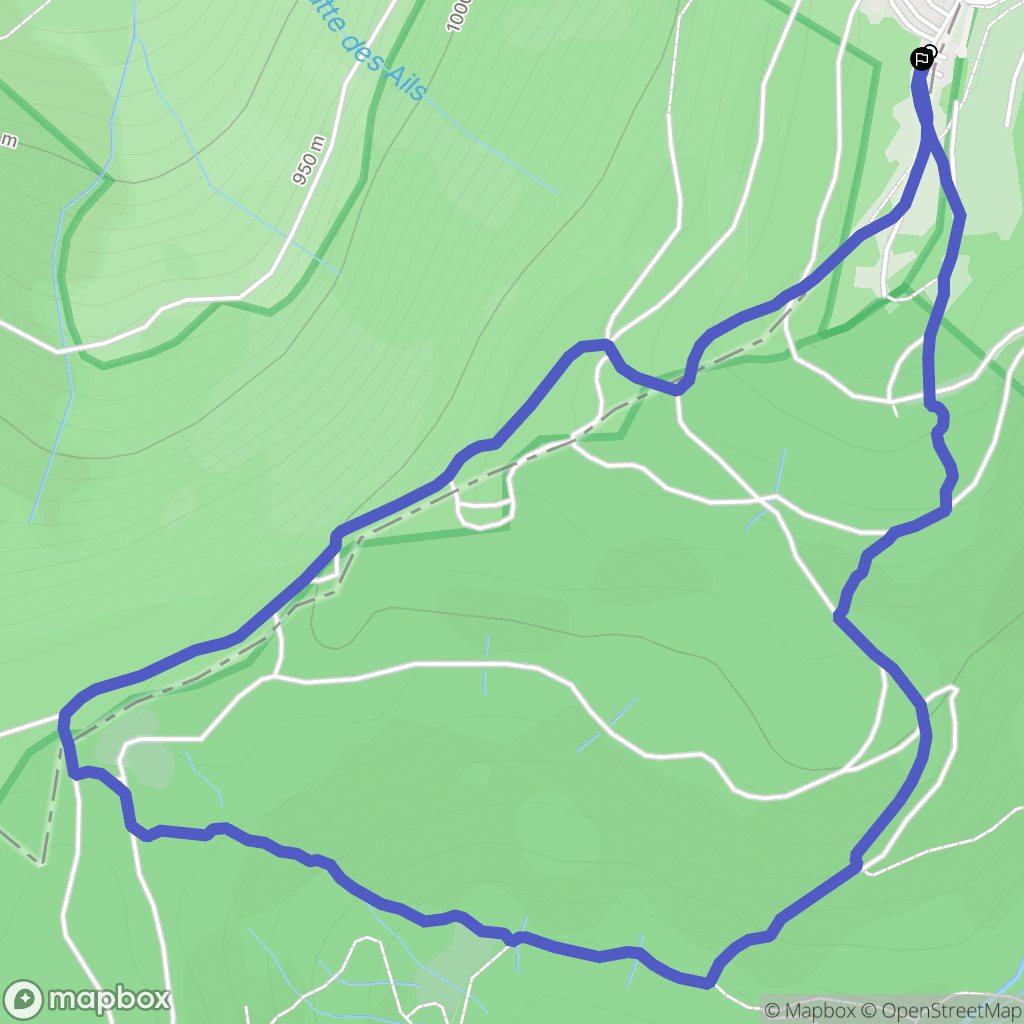Saint-Maurice-sur-Moselle : carte du parcours de randonnée - France