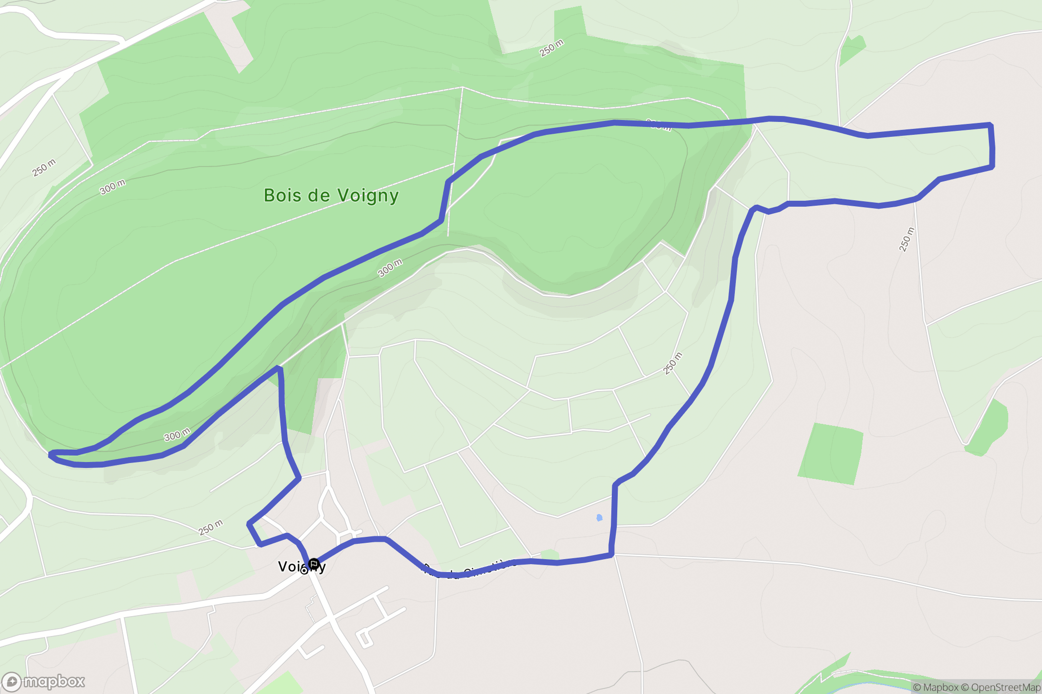 Voigny : carte du parcours de randonnée - France