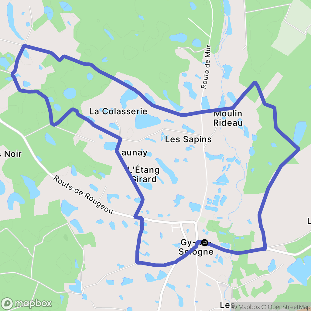 Gy-en-Sologne : carte du parcours de randonnée - France