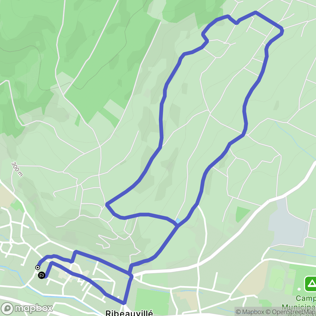 Ribeauvillé: routekaart voor buitenactiviteiten - France