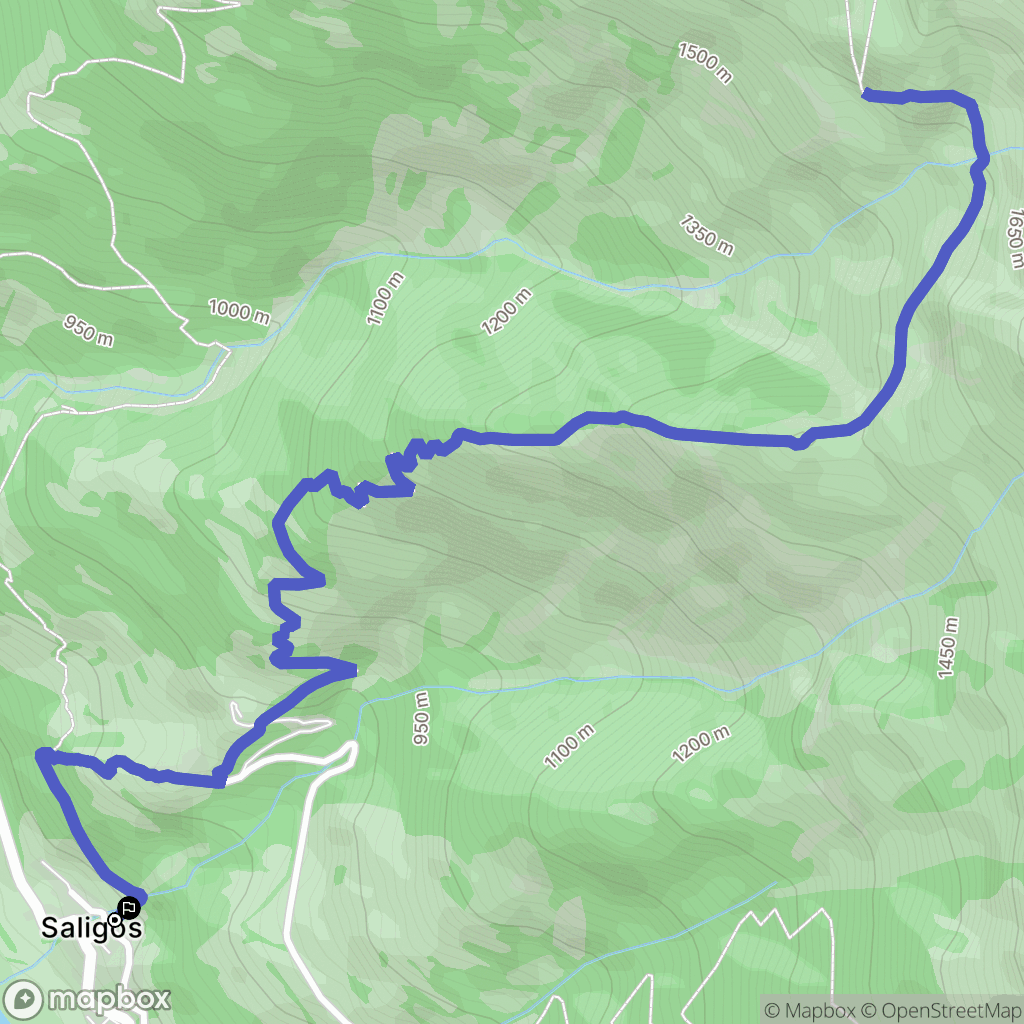 Saligos : carte du parcours de randonnée - France
