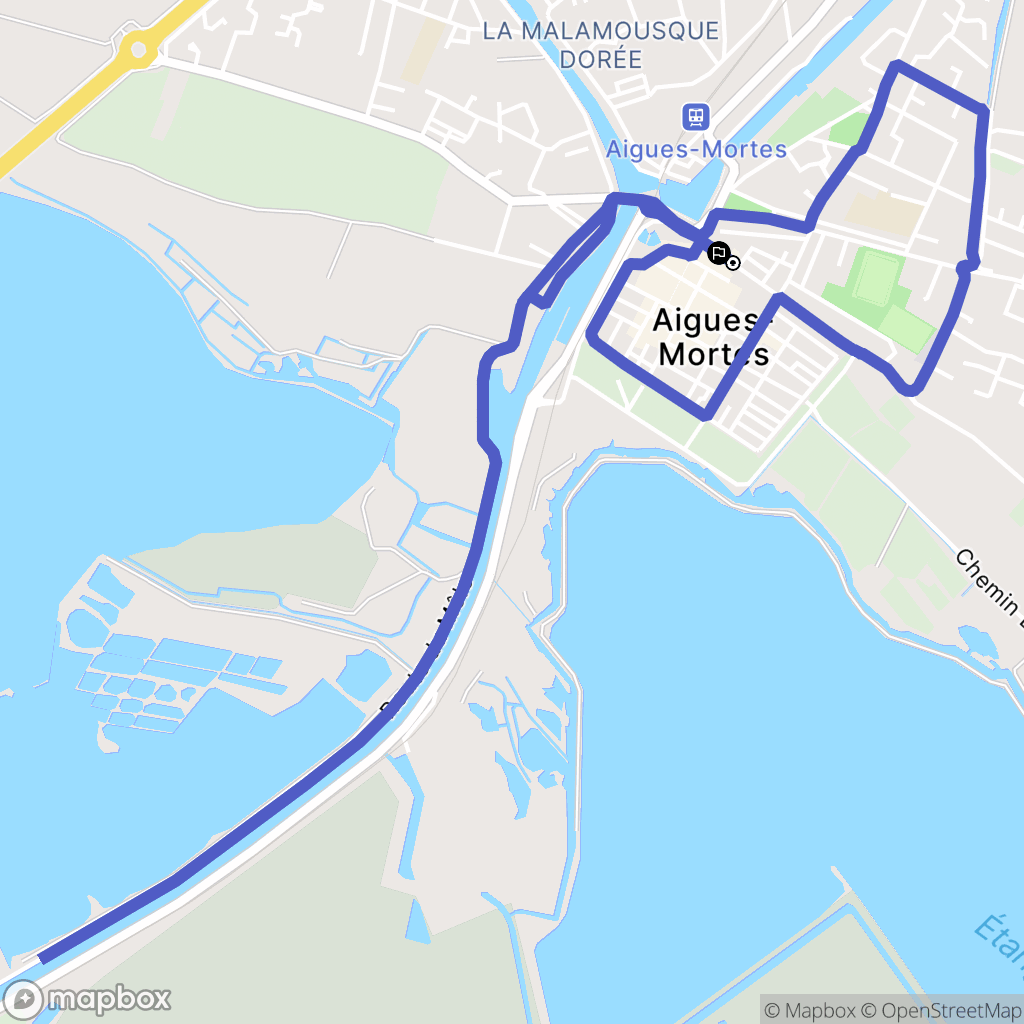 Aigues-Mortes : carte du parcours de randonnée - France