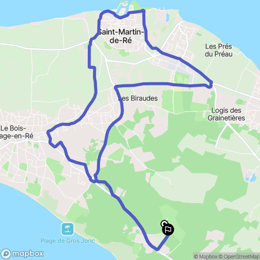 Le Bois-Plage-en-Ré : carte du parcours de randonnée - France