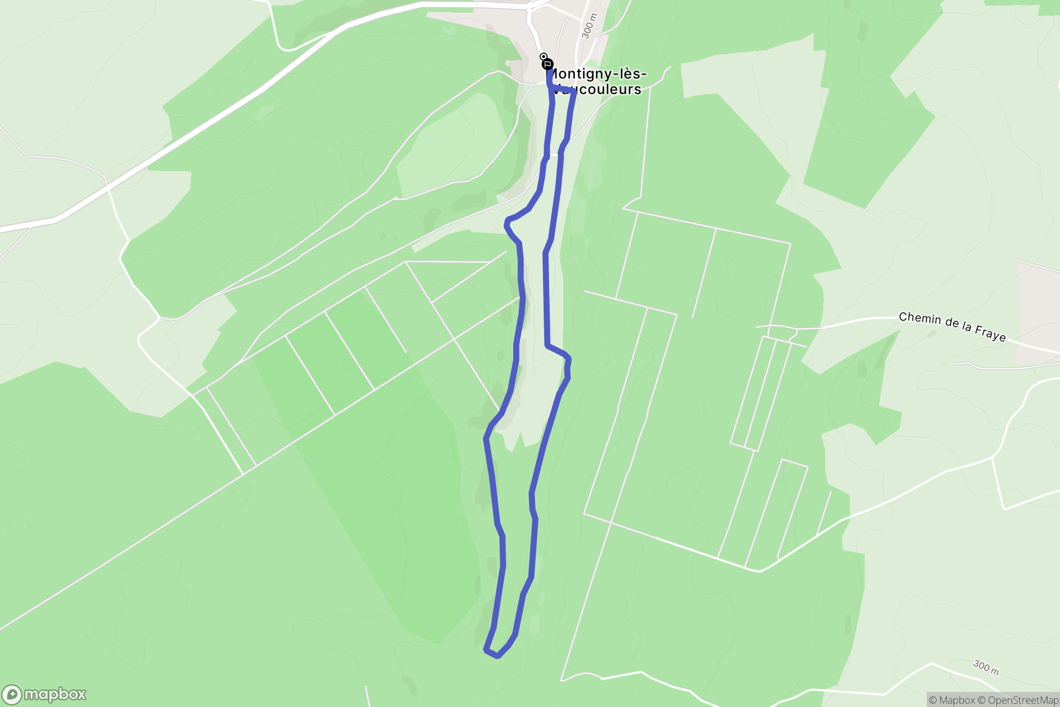 Montigny-lès-Vaucouleurs : carte du parcours de randonnée - France