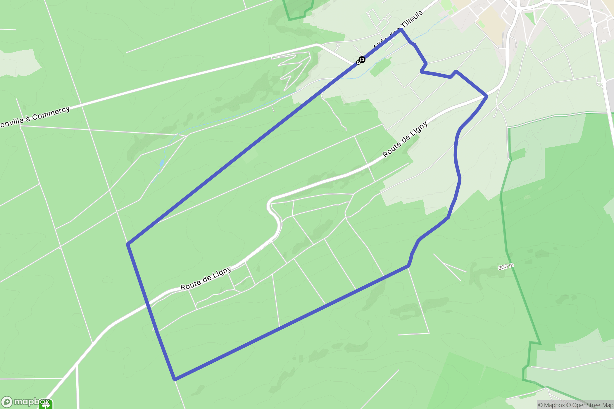 Commercy : carte du parcours de randonnée - France