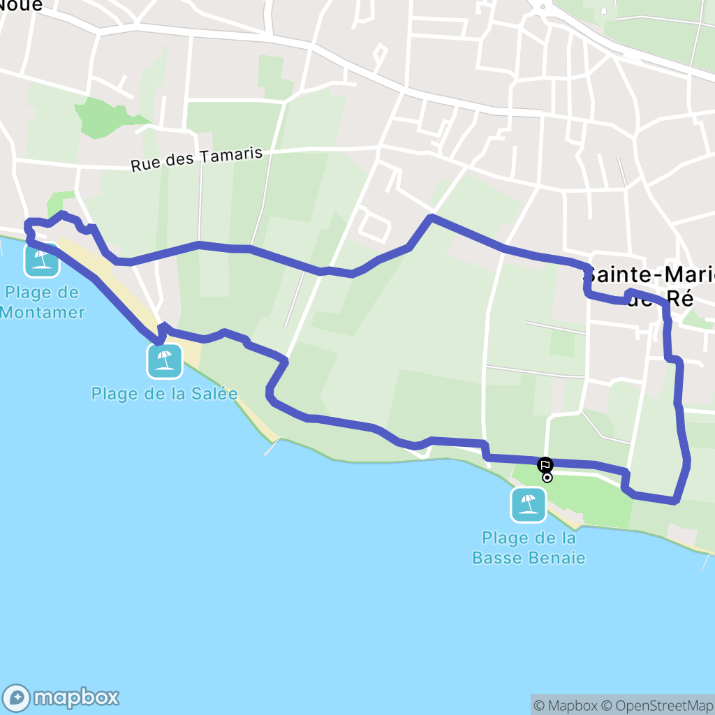Sainte-Marie-de-Ré : carte du parcours de randonnée - France