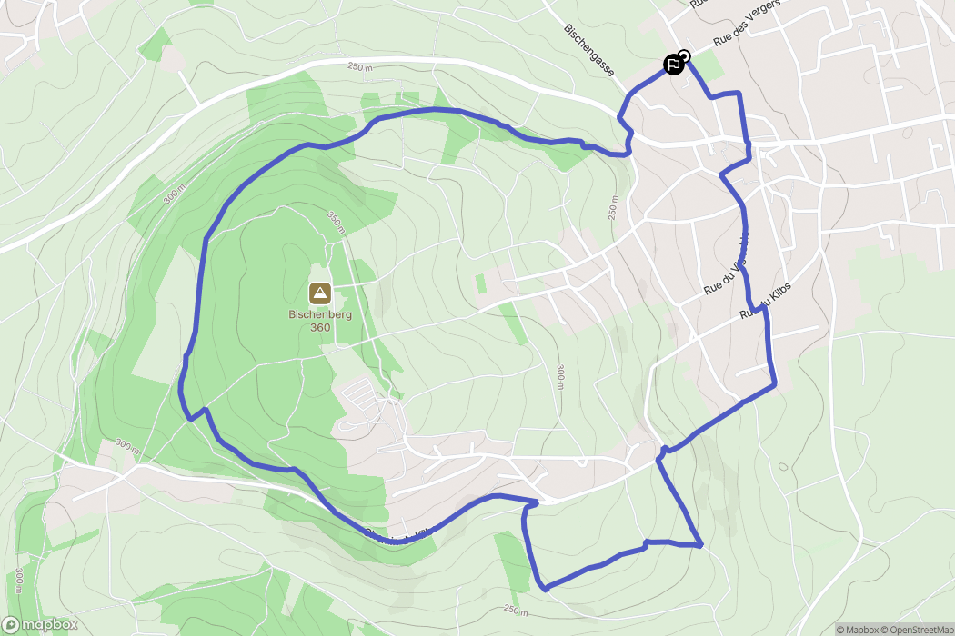 Bischoffsheim : carte du parcours de randonnée - France