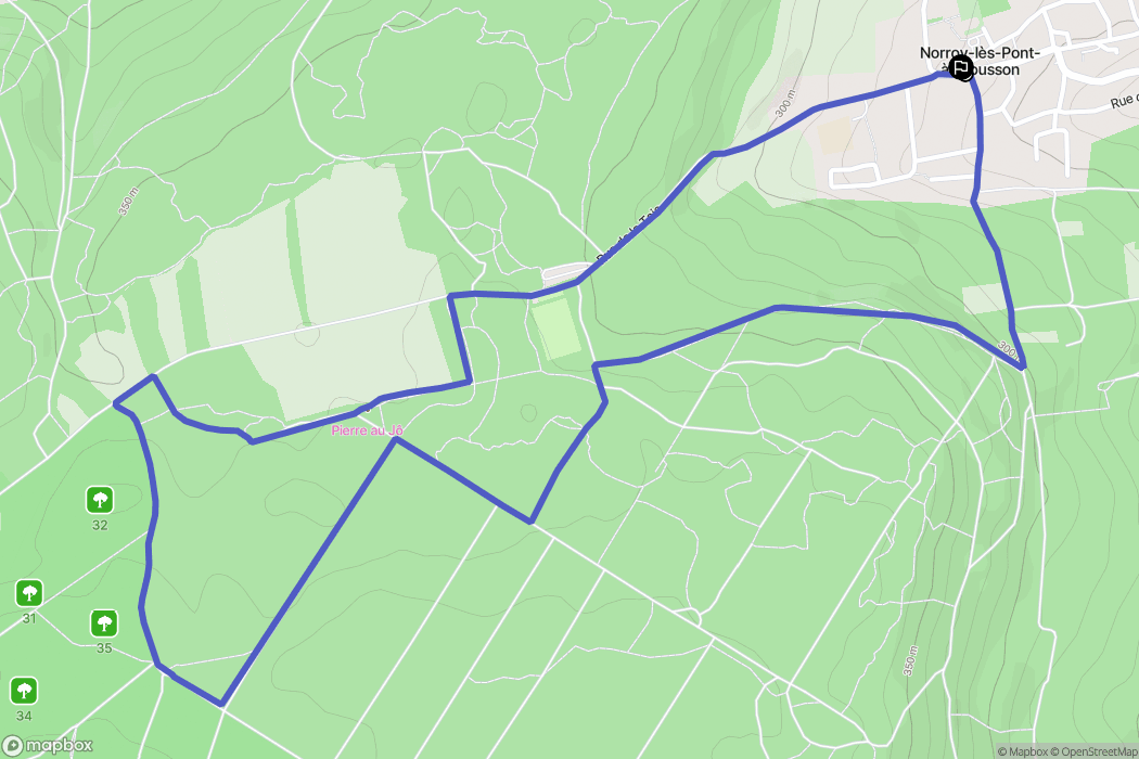 Norroy-lès-Pont-à-Mousson : carte du parcours de randonnée - France