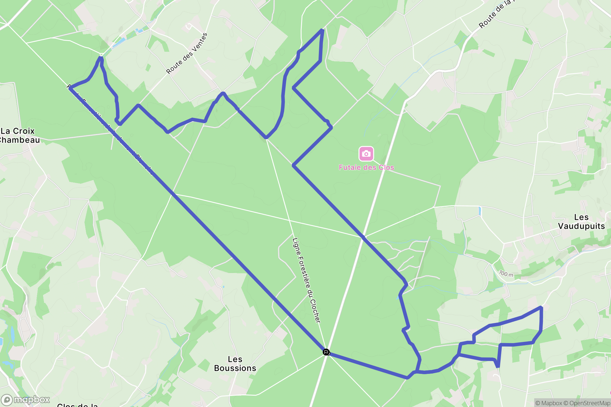 Thoiré-sur-Dinan : carte du parcours de randonnée - France