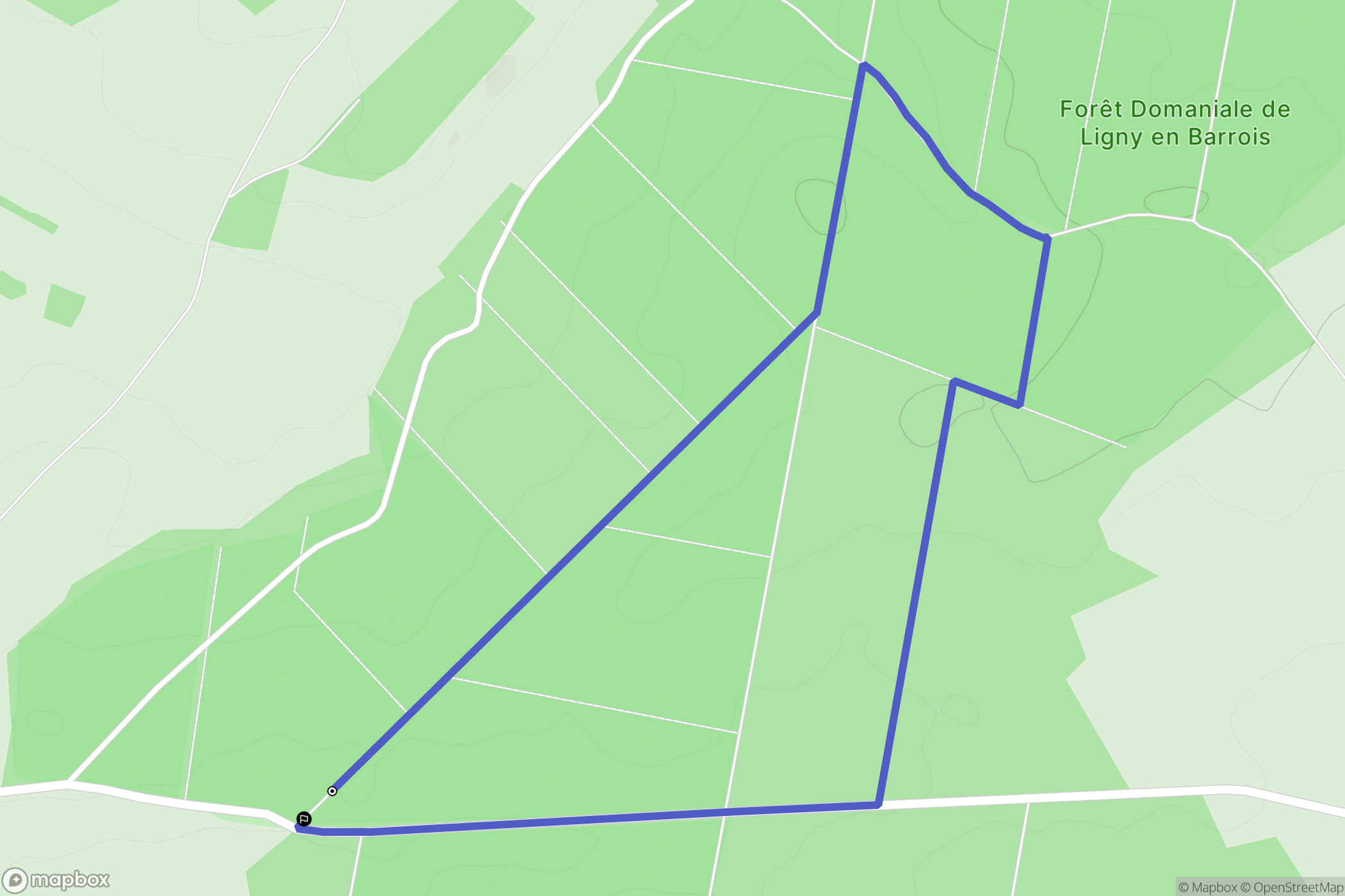 Ligny-en-Barrois : carte du parcours de randonnée - France