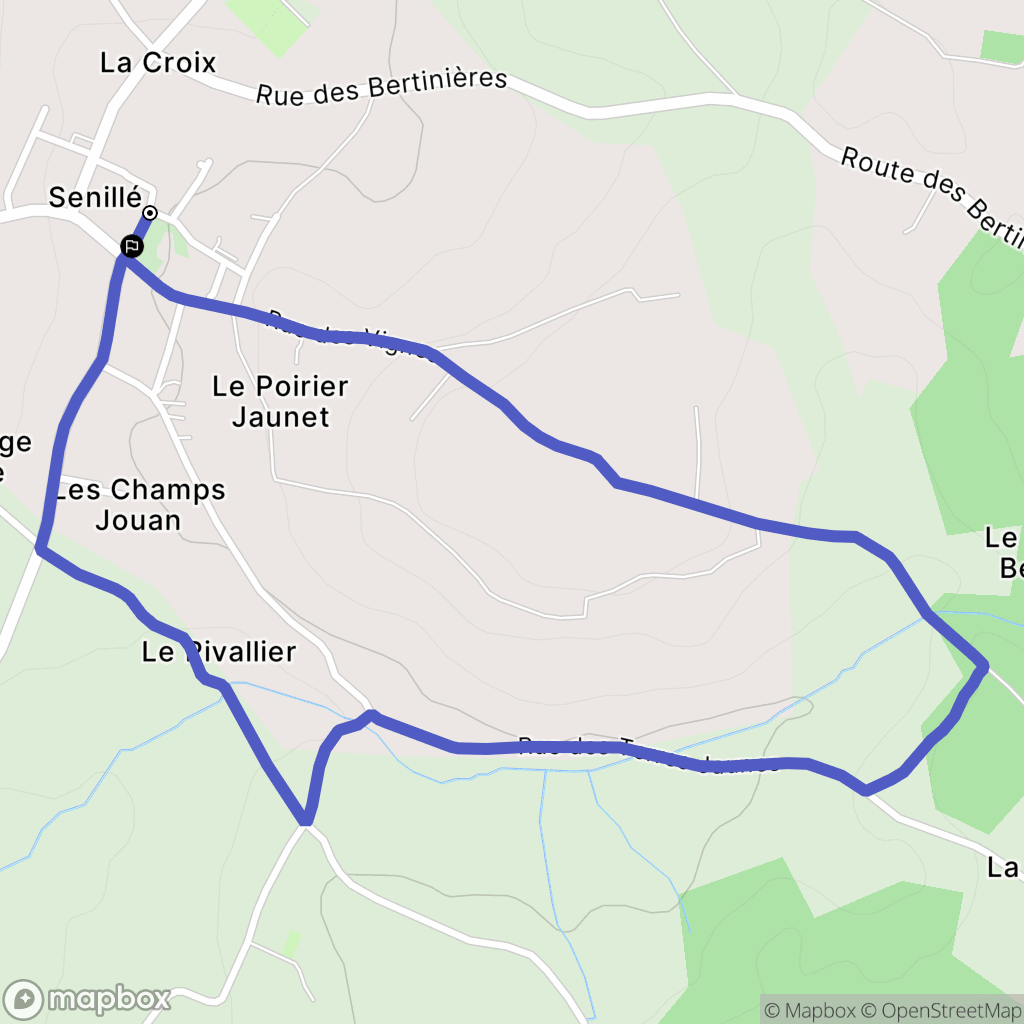 Senillé-Saint-Sauveur : carte du parcours de randonnée - France
