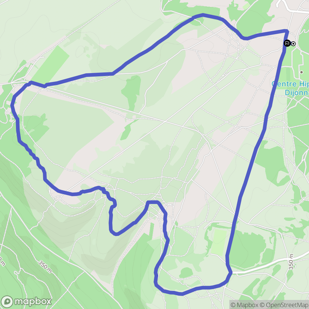 Dijon: routekaart voor buitenactiviteiten - France
