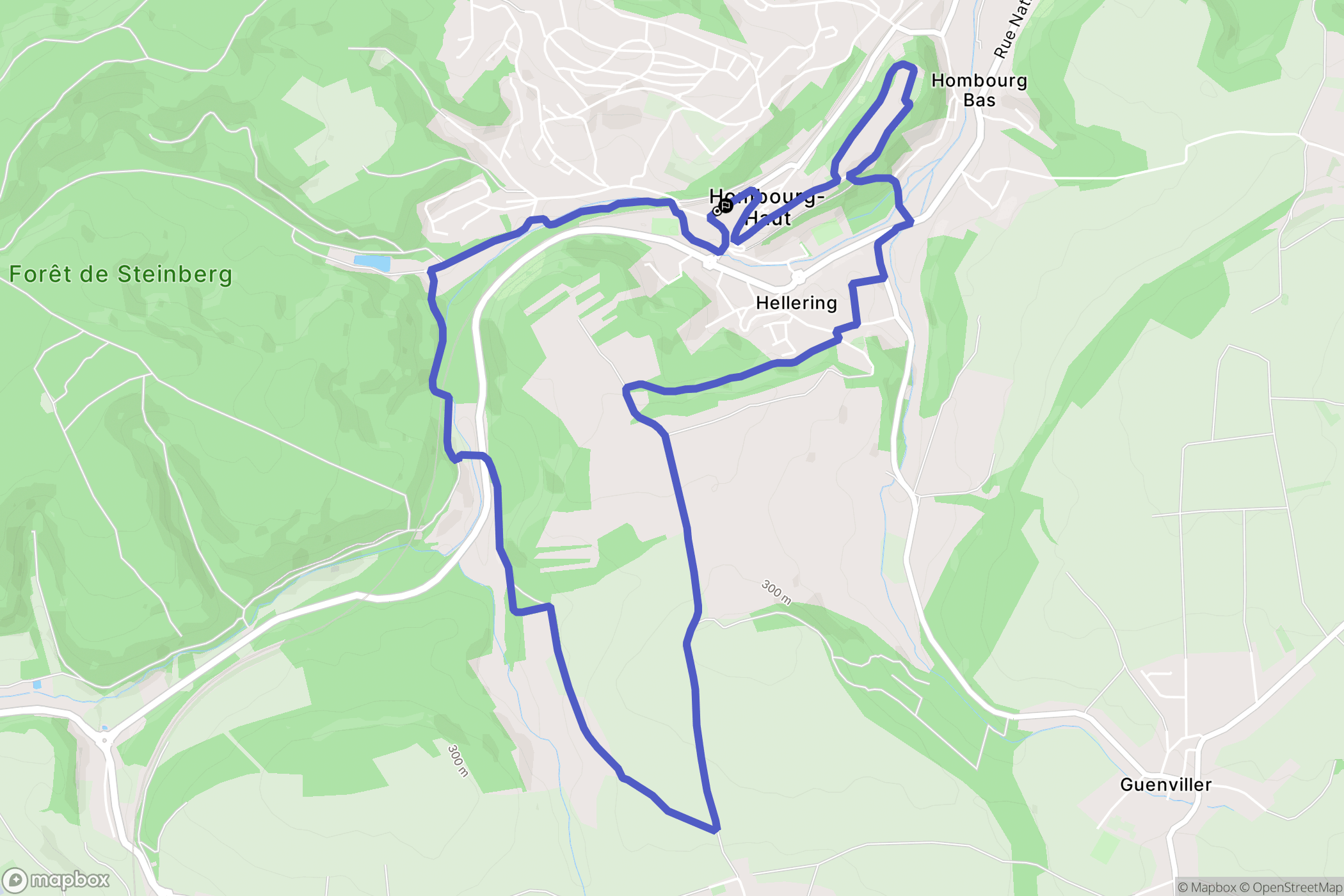 Hombourg-Haut : carte du parcours de randonnée - France