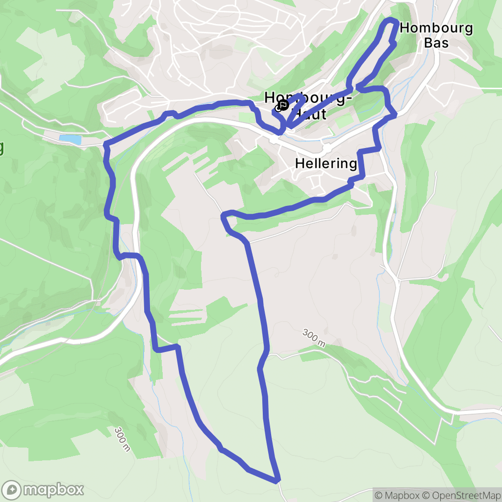 Hombourg-Haut : carte du parcours de randonnée - France