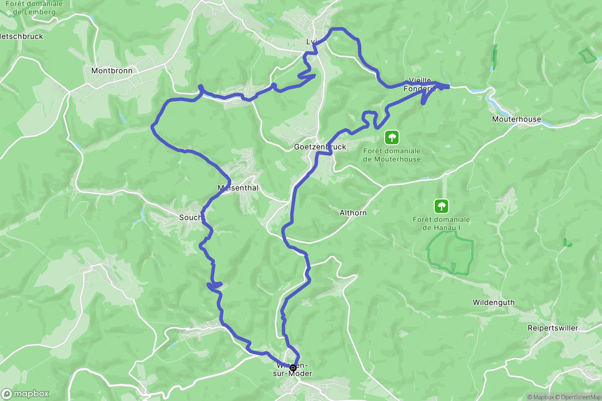 Wingen-sur-Moder : carte du parcours de randonnée - France