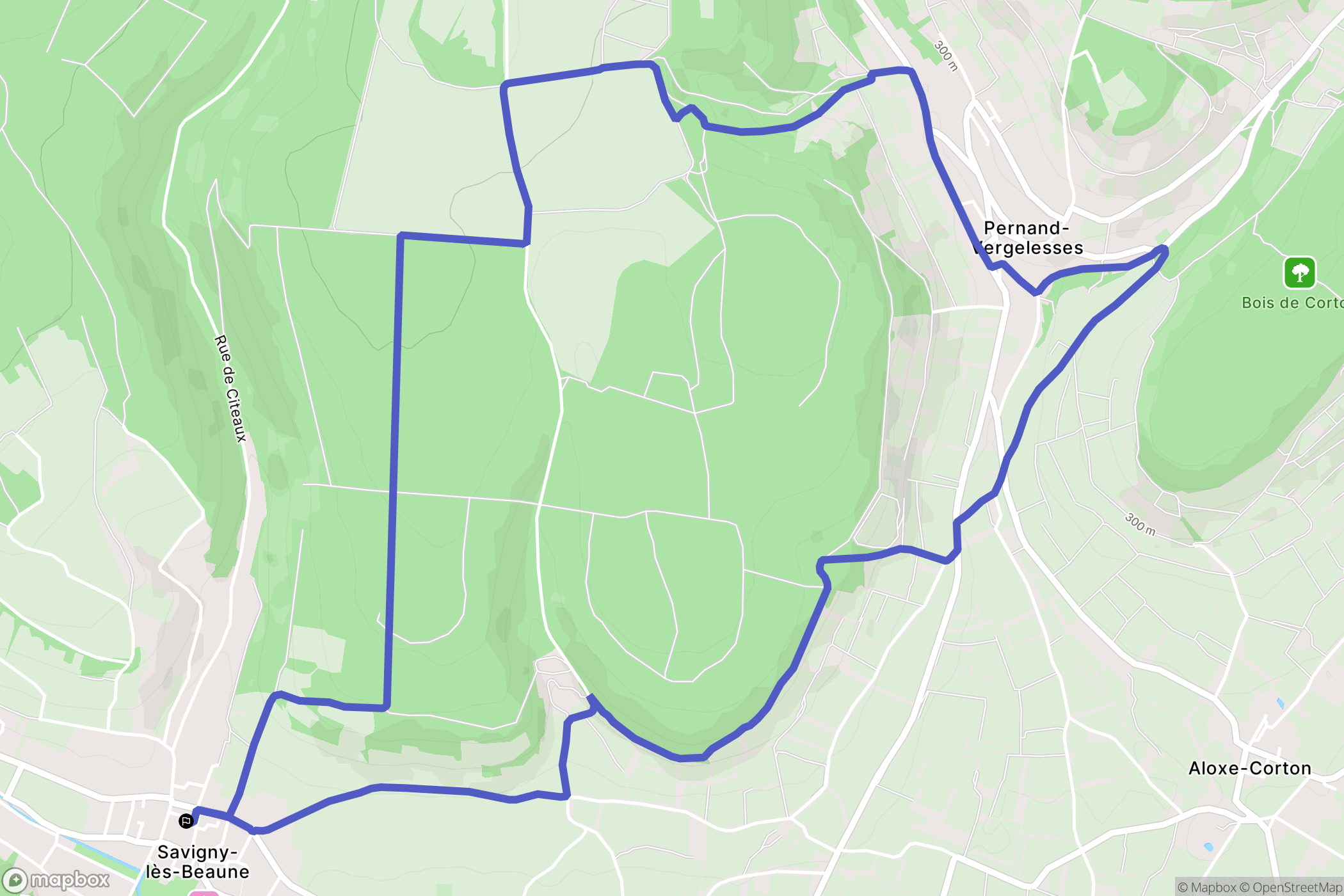 Savigny-lès-Beaune : carte du parcours de randonnée - France