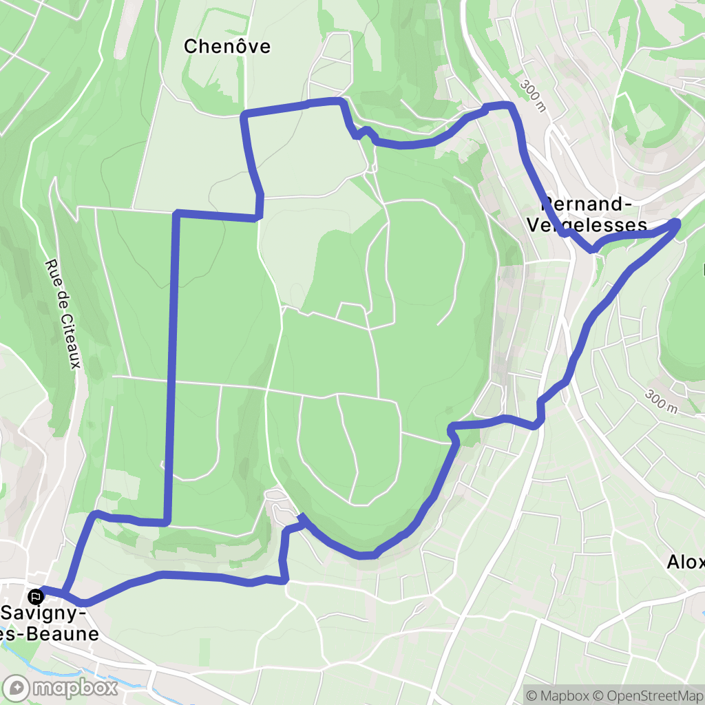 Savigny-lès-Beaune : carte du parcours de randonnée - France
