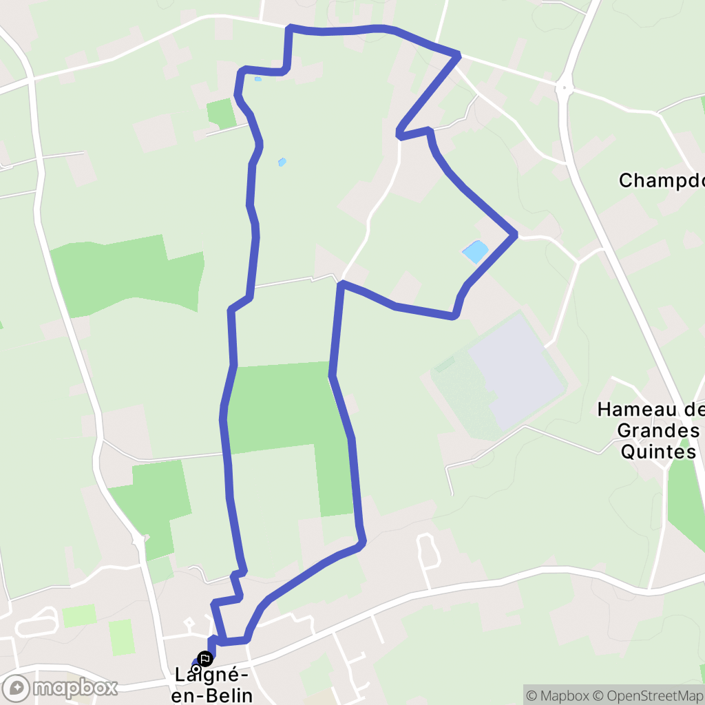 Laigné-en-Belin : carte du parcours de randonnée - France