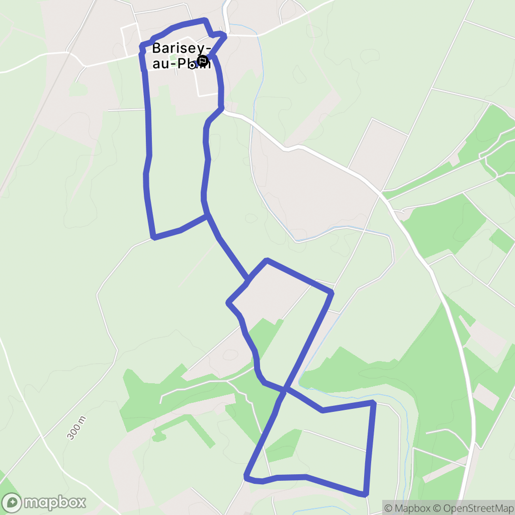 Barisey-au-Plain : carte du parcours de randonnée - France
